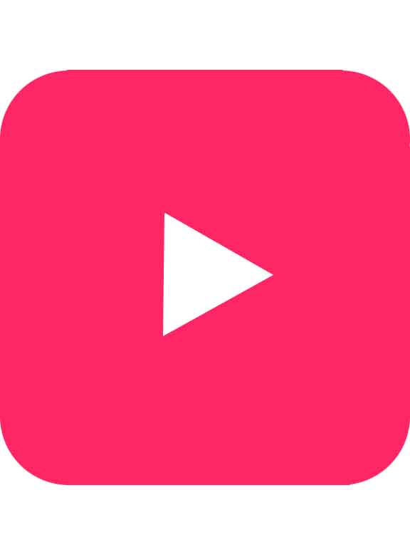 Вибратор в трусики Svakom Erica PLUS