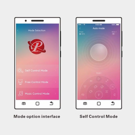 Виброяйцо Pretty Love Kirk